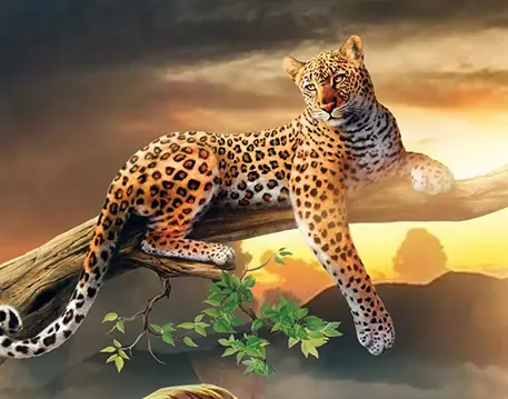 Profile Picture of Autodesk Editing Background
