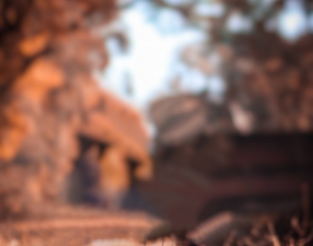 Profile Picture of Blurred Editing Backgroundlang