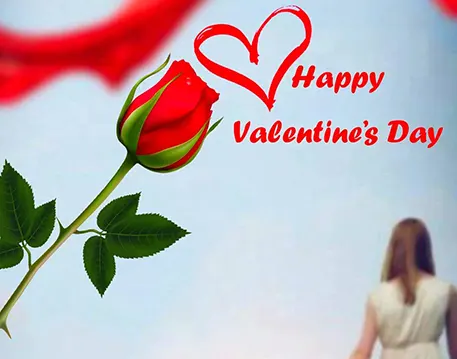 Profile Picture of Valentine's Day Editing Backgroundlang