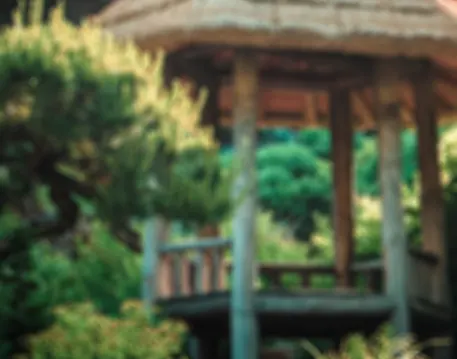 Garden Editing Background